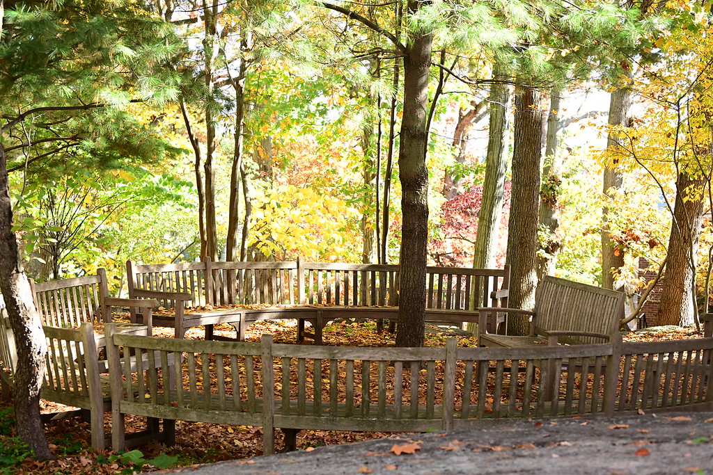 Scenic shot of Fieldston Upper outdoor classroom. Benches oriented in a circle are shaded by leafy trees.