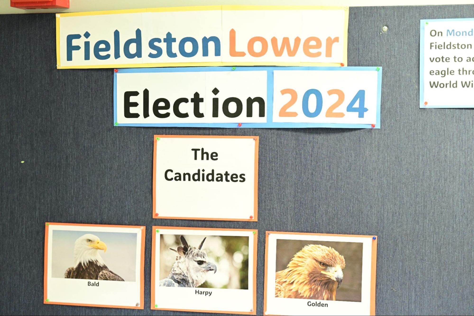 a billboard at Ethical Culture Fieldston School depicting the three types of eagles Fieldston Lower students voted on.