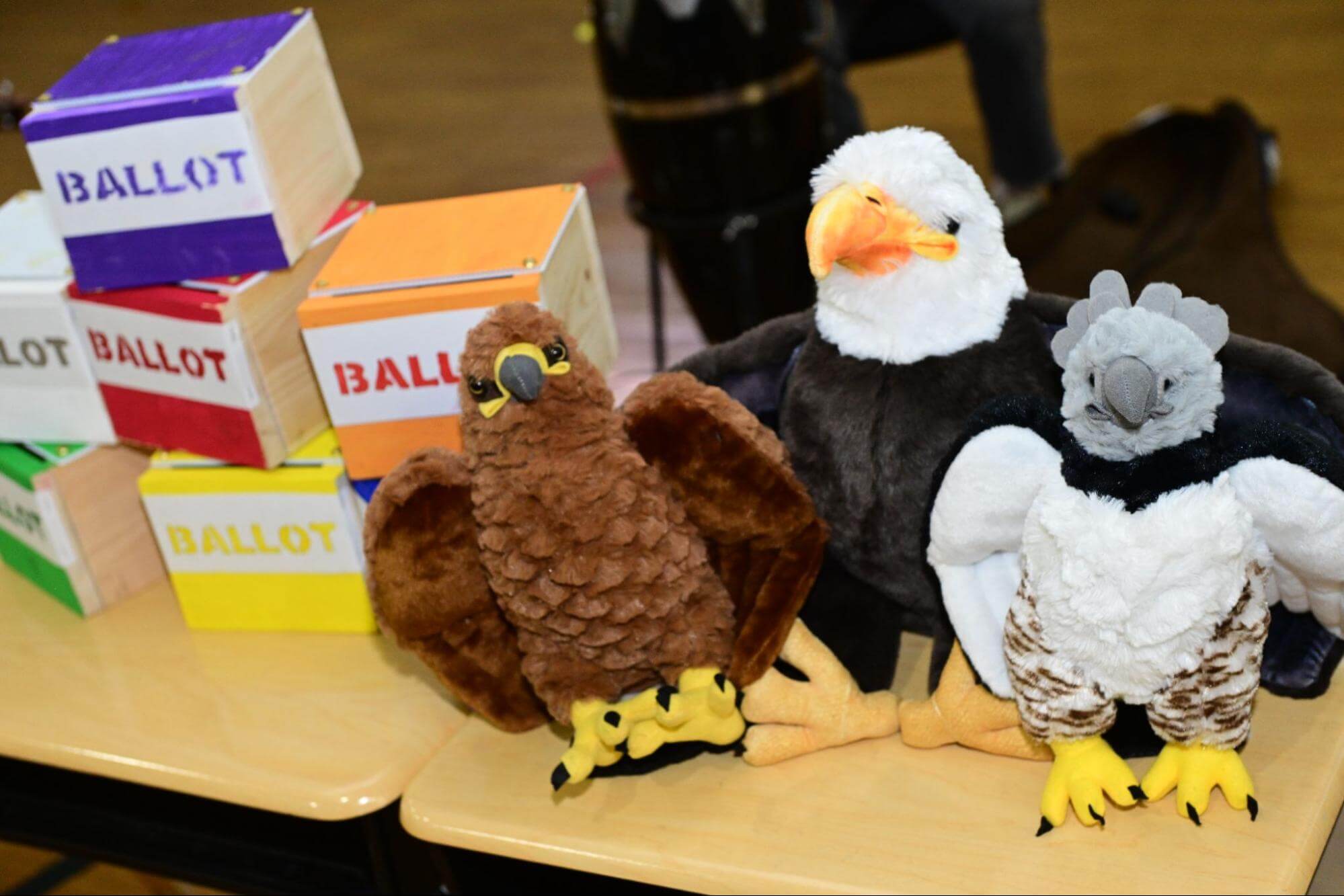 Three stuffed animal eagles on a desk at Ethical Culture Fieldston School.