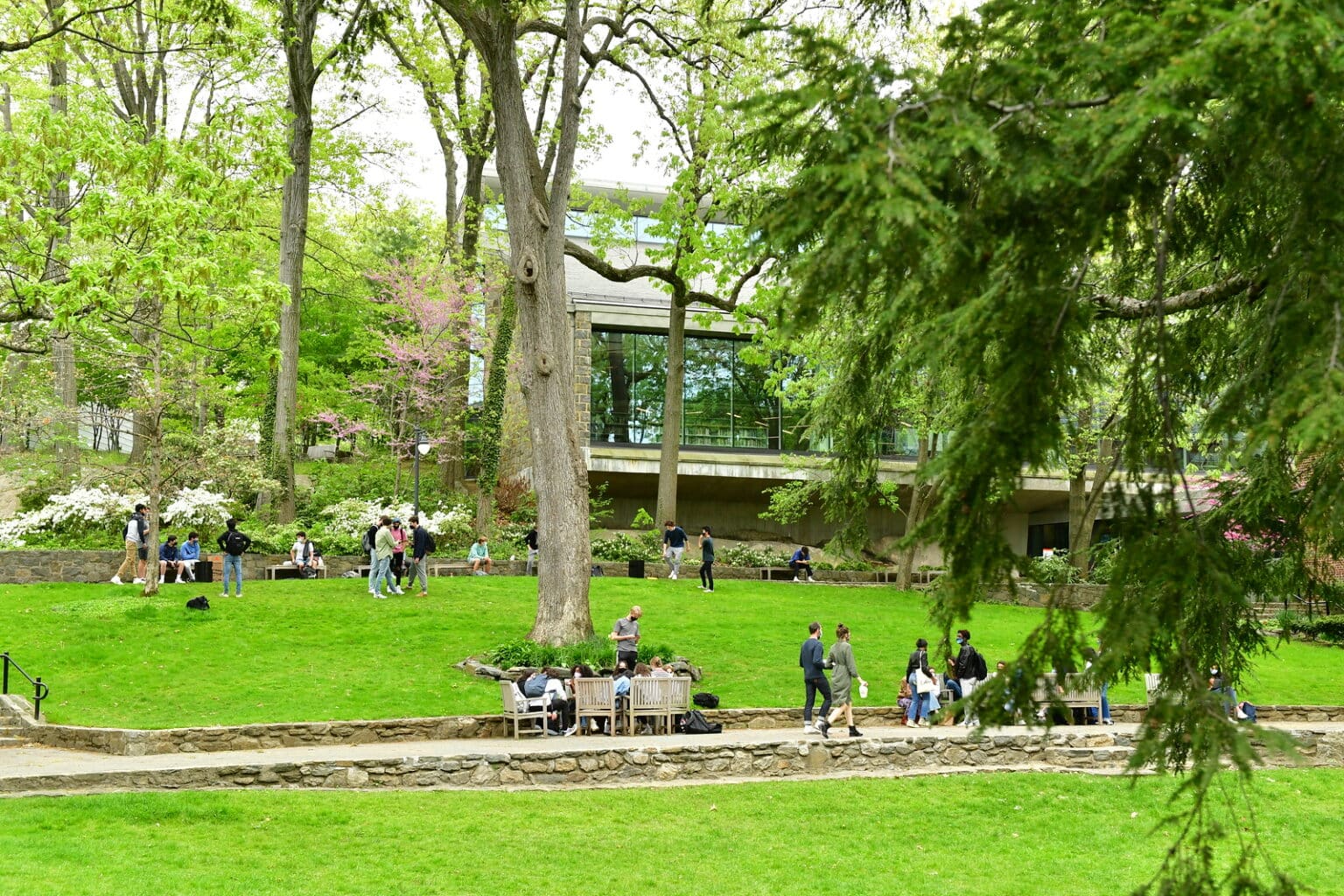 tuition-and-financial-aid-ethical-culture-fieldston-school